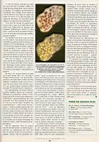 L'Histoire 258, octobre 2001, La grotte Chauvet (07)